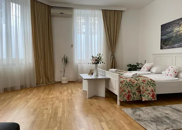 Appartement 1 Vienne